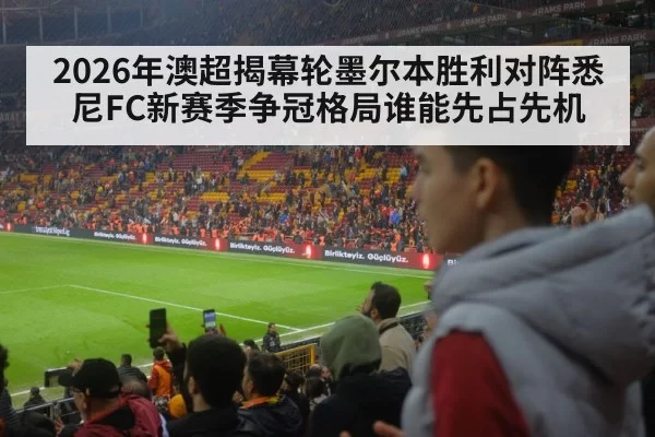 A-League soccer crowd
